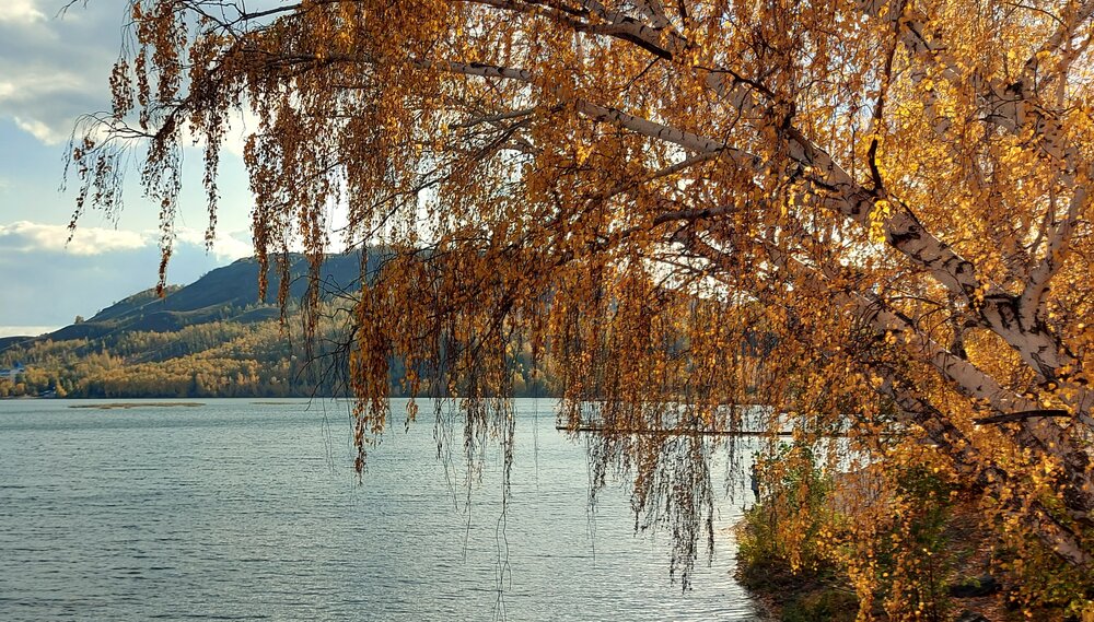 Photograph by Алена Марченко
