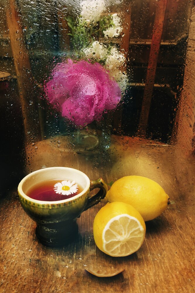Photograph by Наталия Самкина