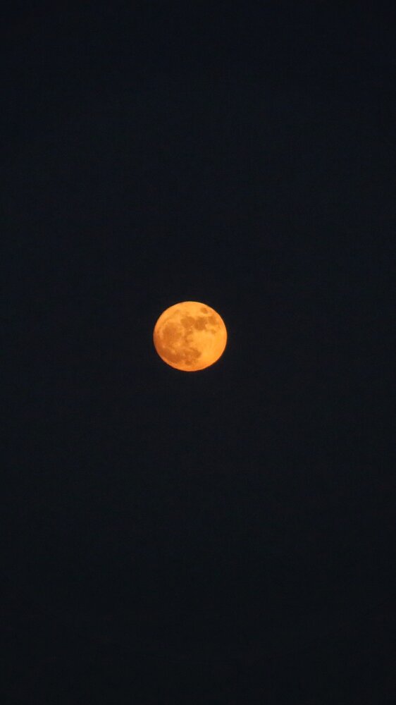 Photograph by Елена Хорошильцева