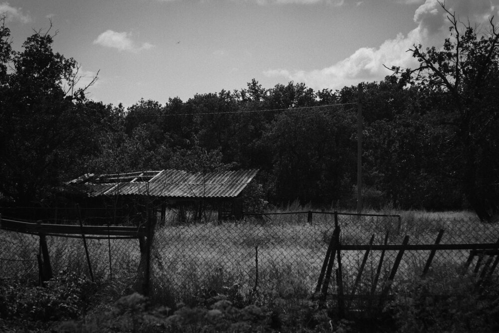Photograph by Дмитрий Рзянин