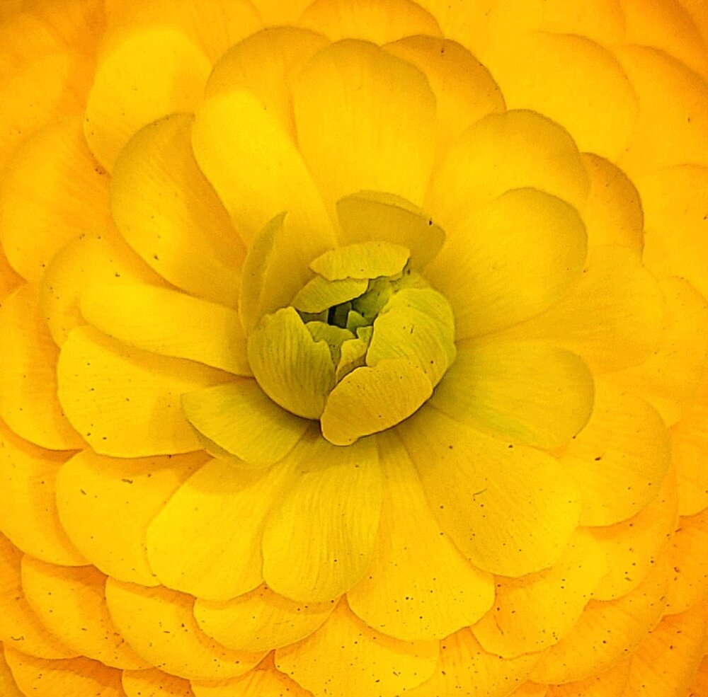 Photograph by Dmitrij Zykunov