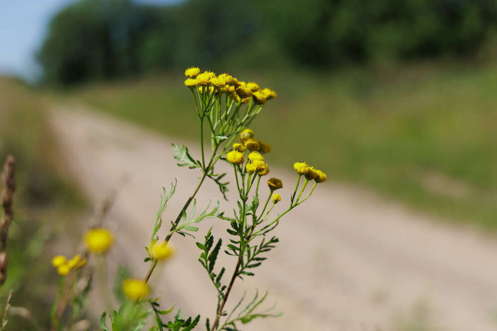 Photograph by Оксана Черняева