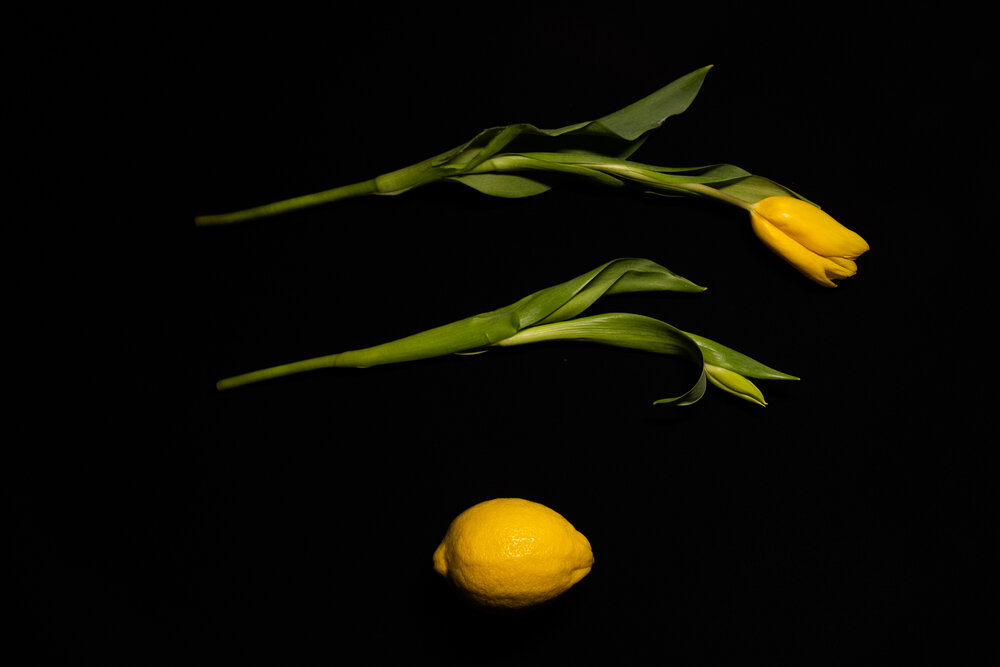 Photograph by Elizaveta Yasyuchenya