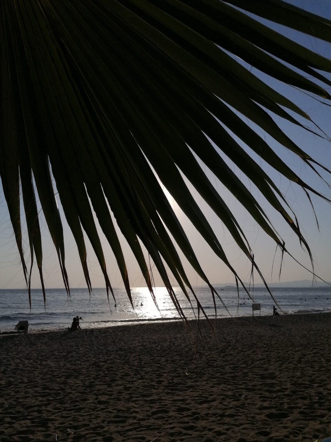Photo #13847294