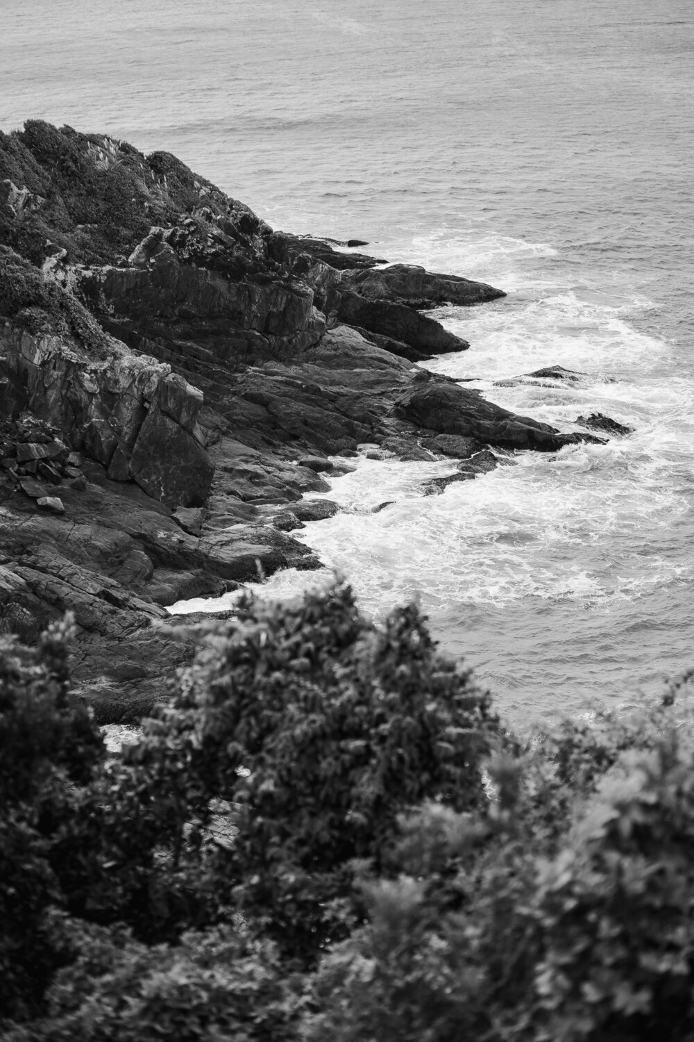 Photo #13847326