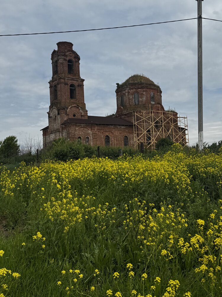 Фотография автора Ксения Абрамова