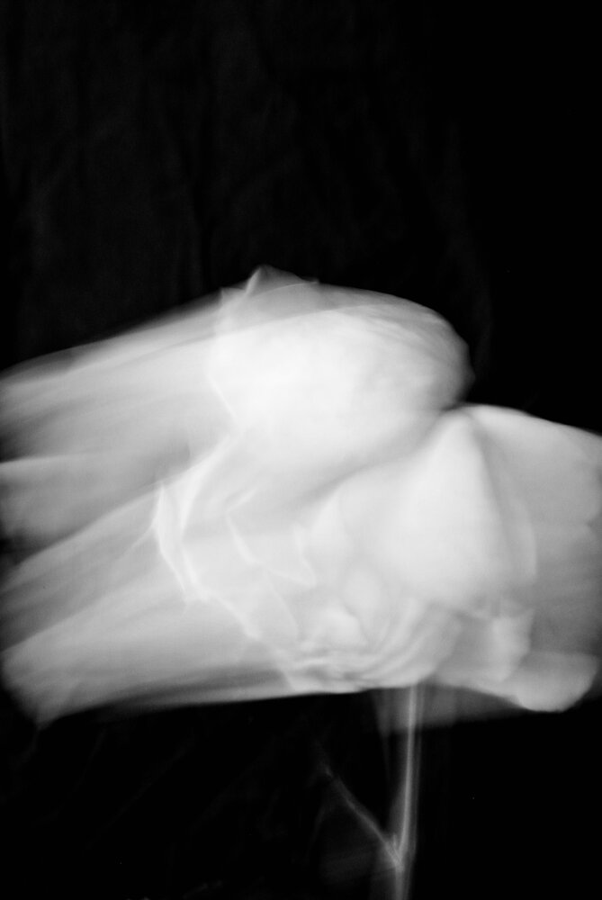 Photograph by Kolotova Irina