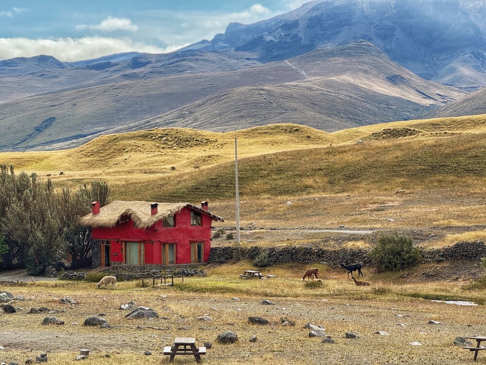 Photograph by Susie Castellano