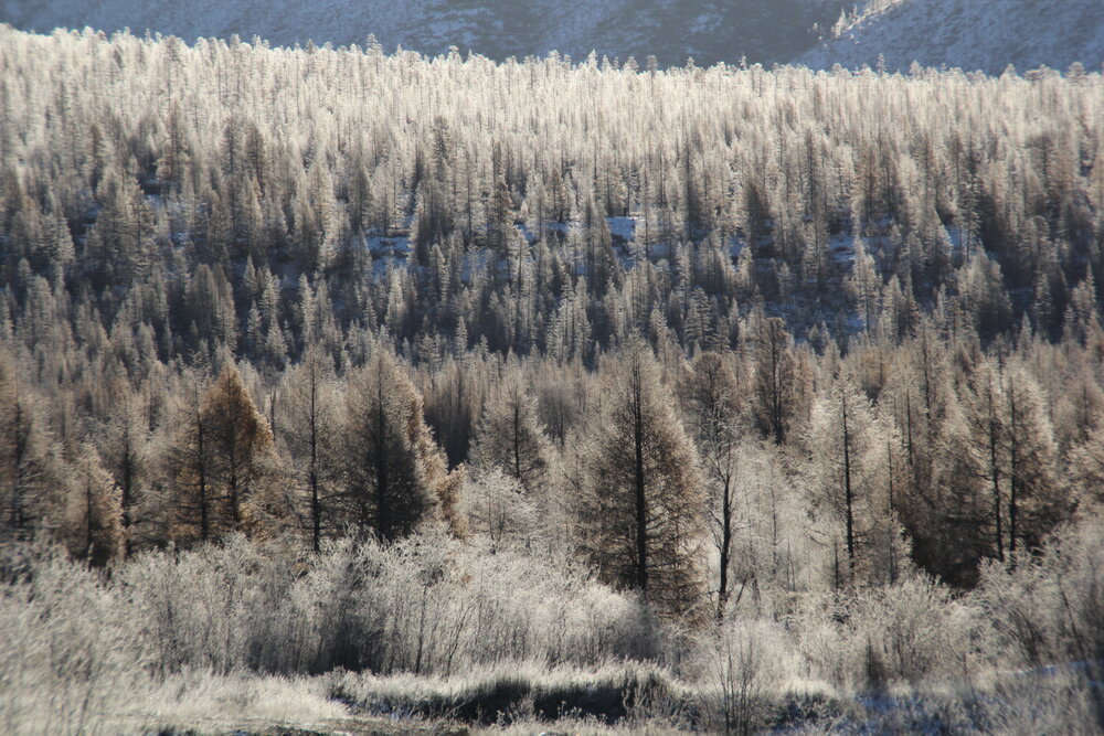 Photograph by Галина Искандарова