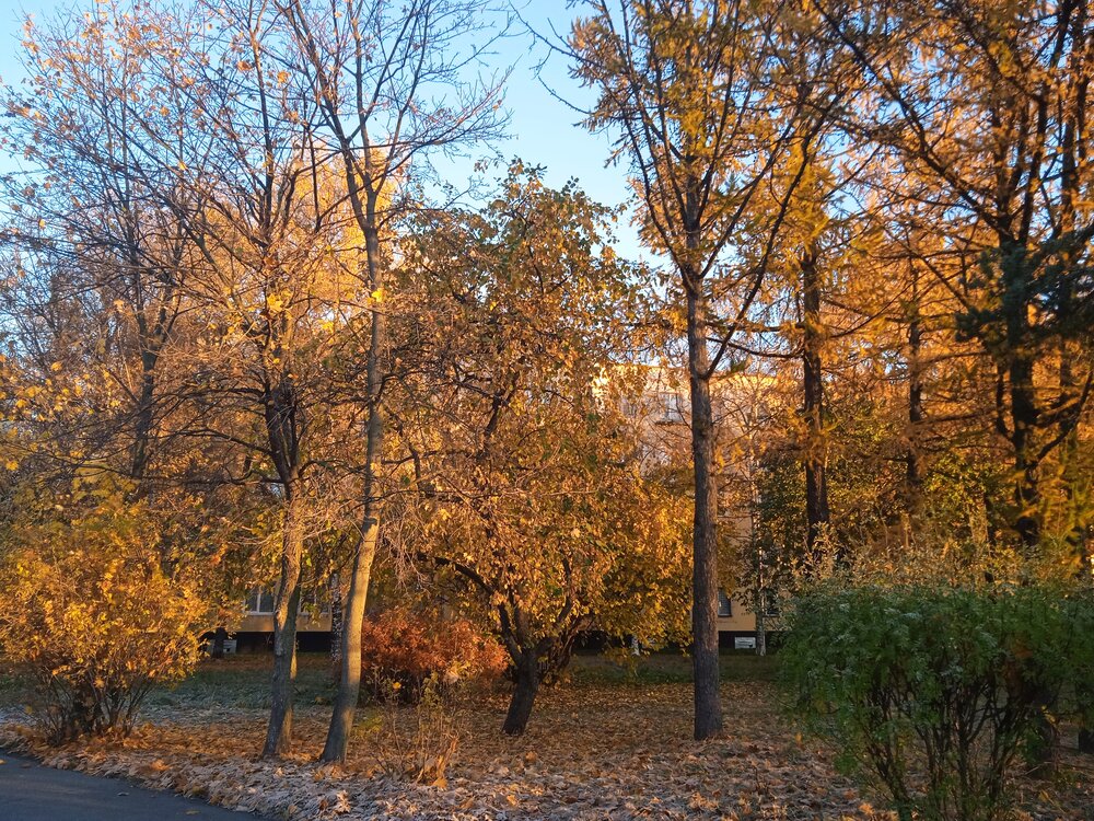 Photograph by Наталия Колемасова