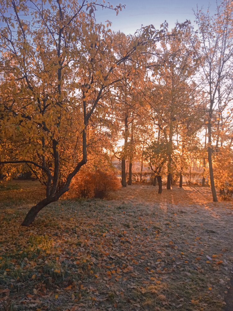Photograph by Наталия Колемасова