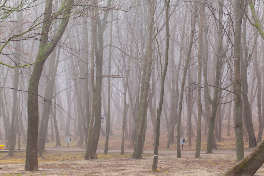 Photograph by Денис Дорошенко