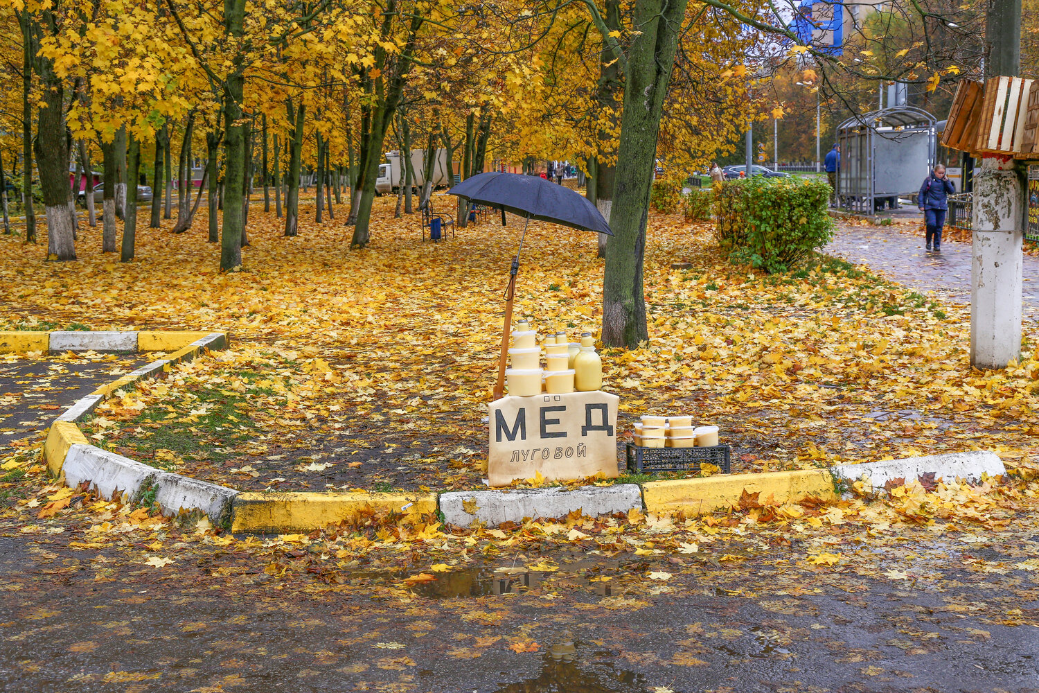 Элегия в жёлтых тонах