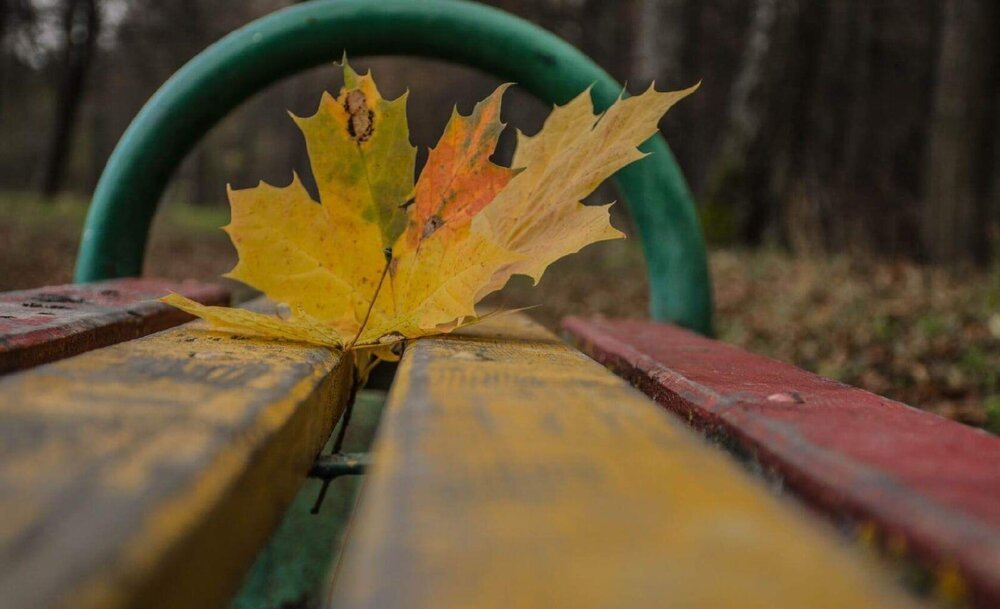 Photograph by Елена Царёва