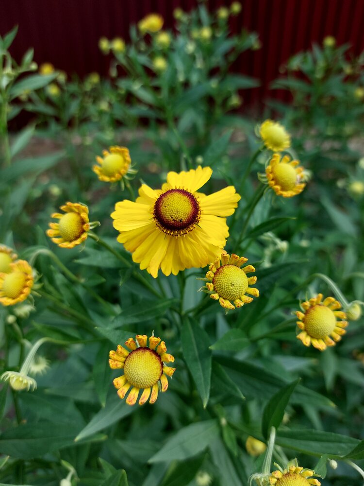 Photograph by Елена Царёва