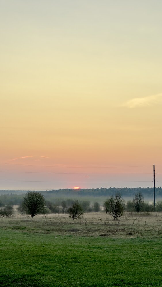 Photograph by 
