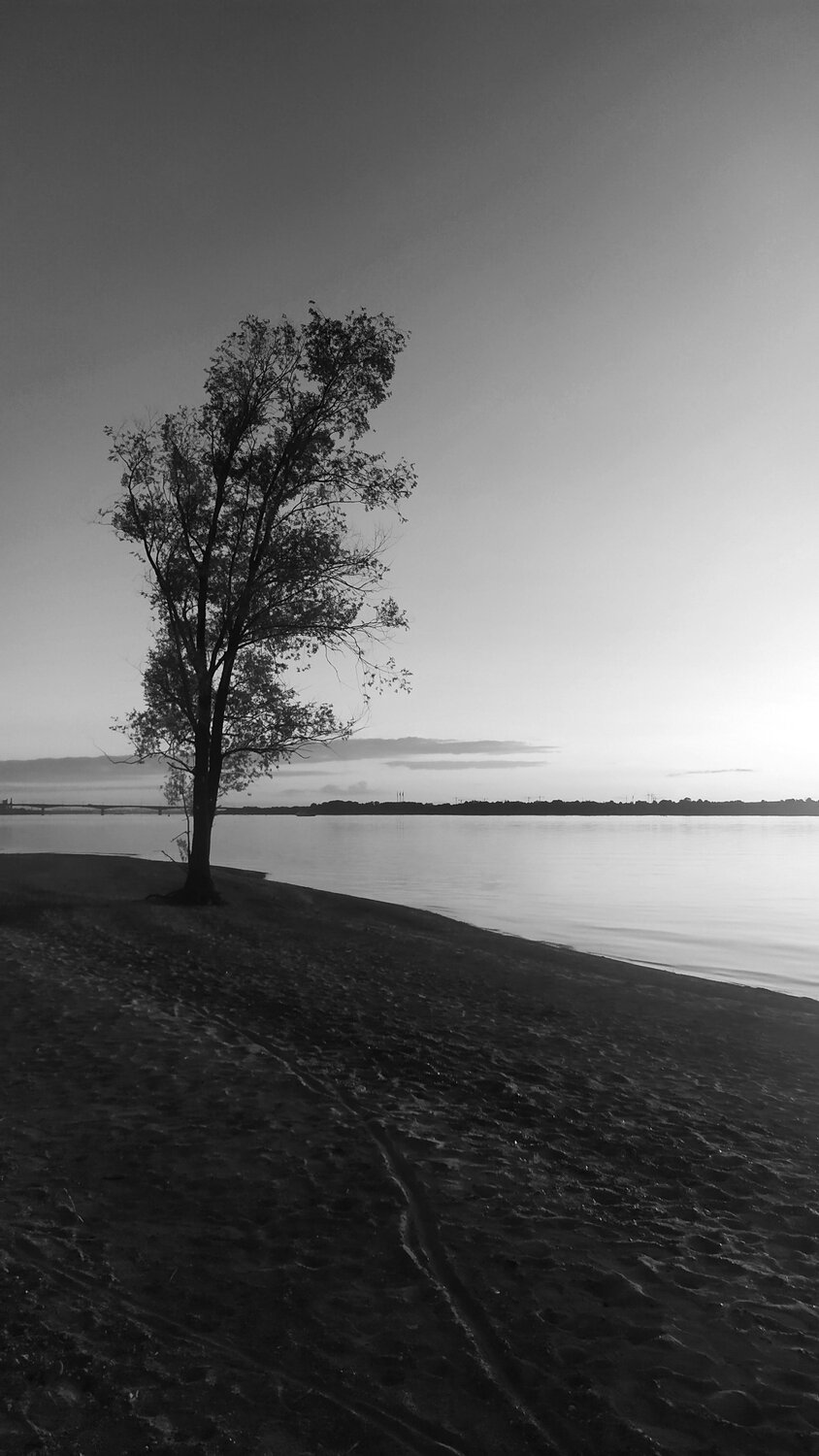 Photo #13847632