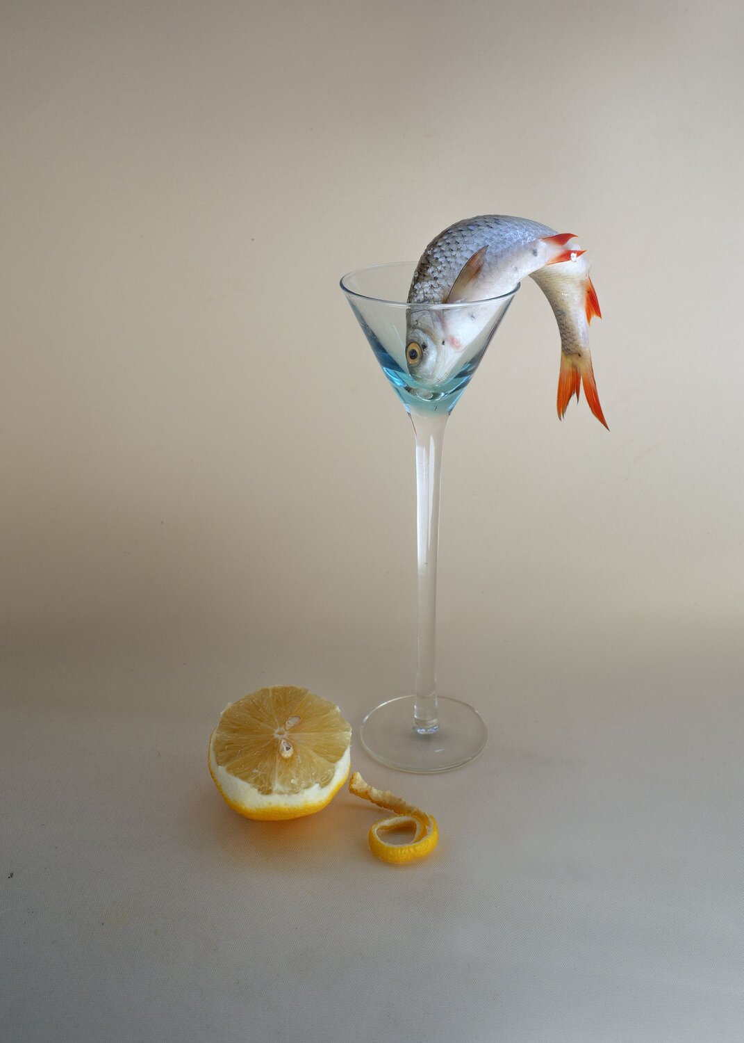 Photo #13847662