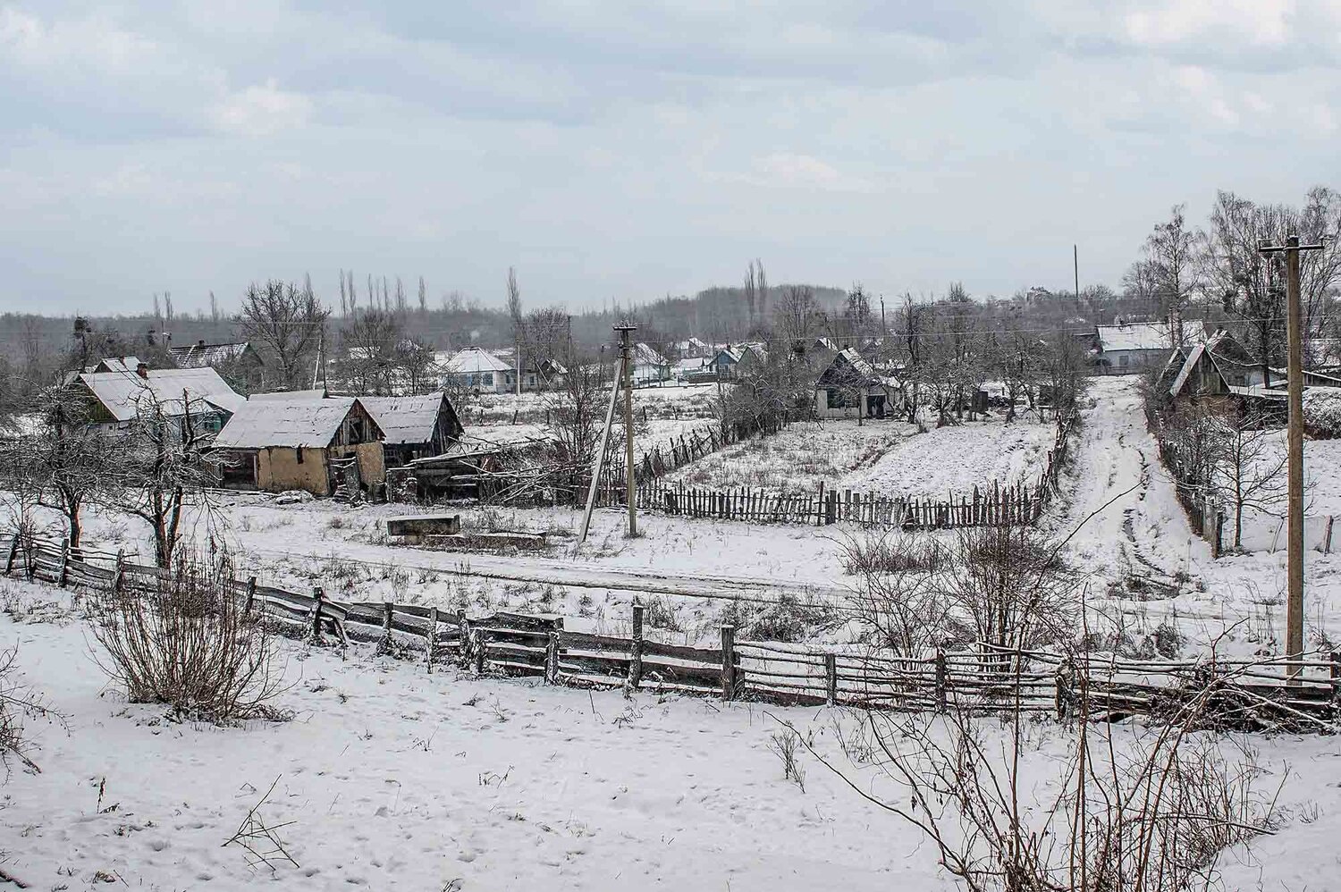 Photo #13847669