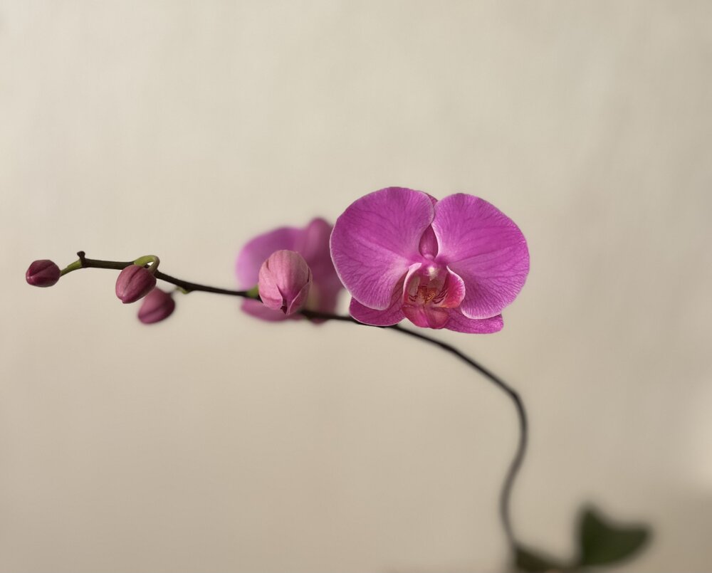 Photograph by Оксана Сербиненко