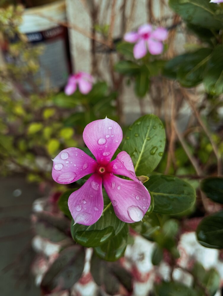 Photograph by Jyoti Sen