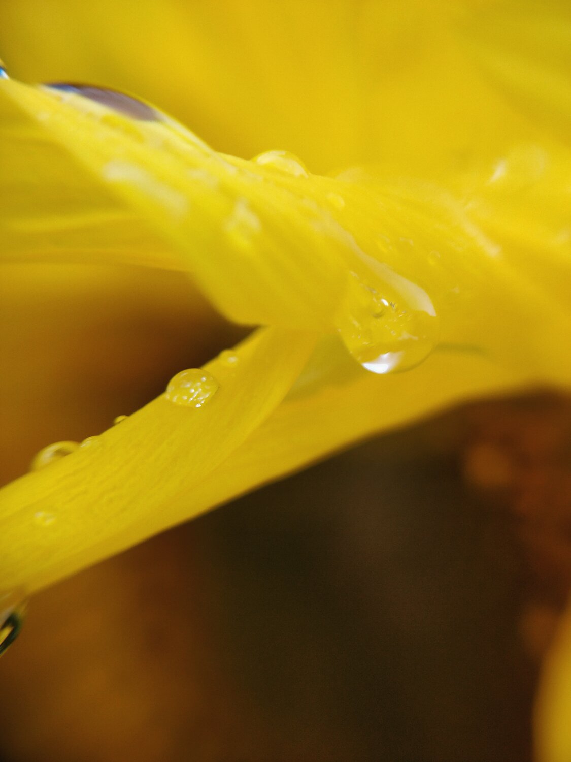 Photo #13847855