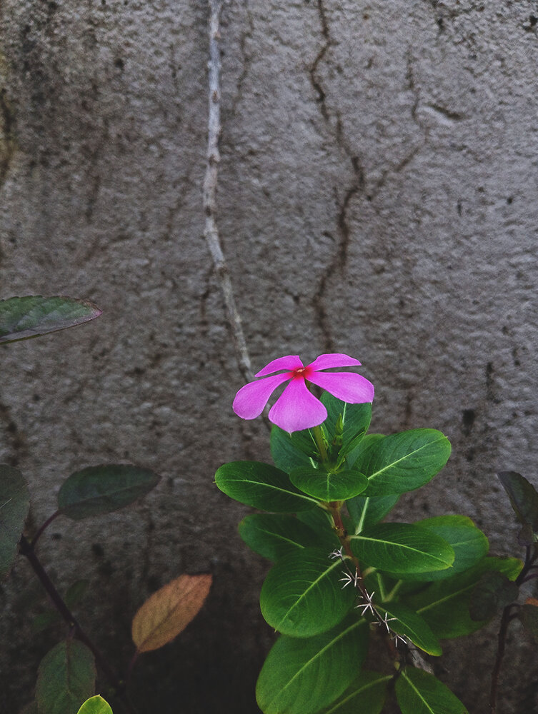 Photograph by Jyoti Sen