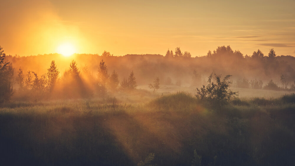 Photograph by Denis Romanov