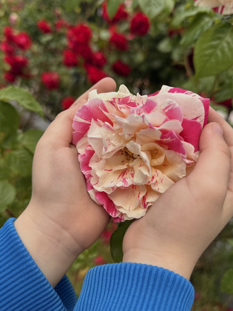 Photograph by Маргарита Лаптева