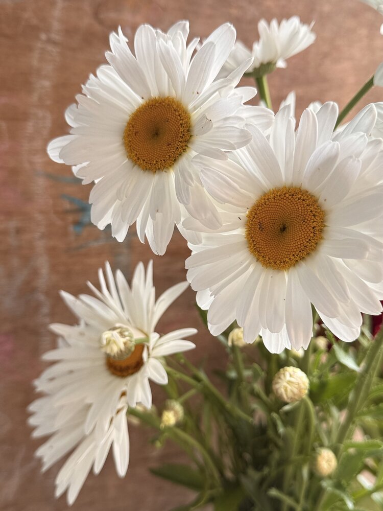 Photograph by Маргарита Лаптева