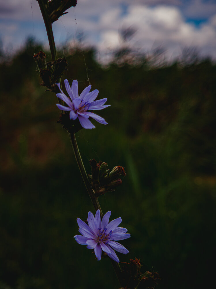 Photograph by Сергей Пыдык