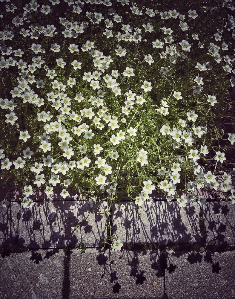 Photograph by Шарова Ольга
