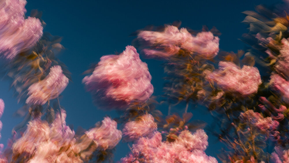 Photograph by Вадим Дорофей