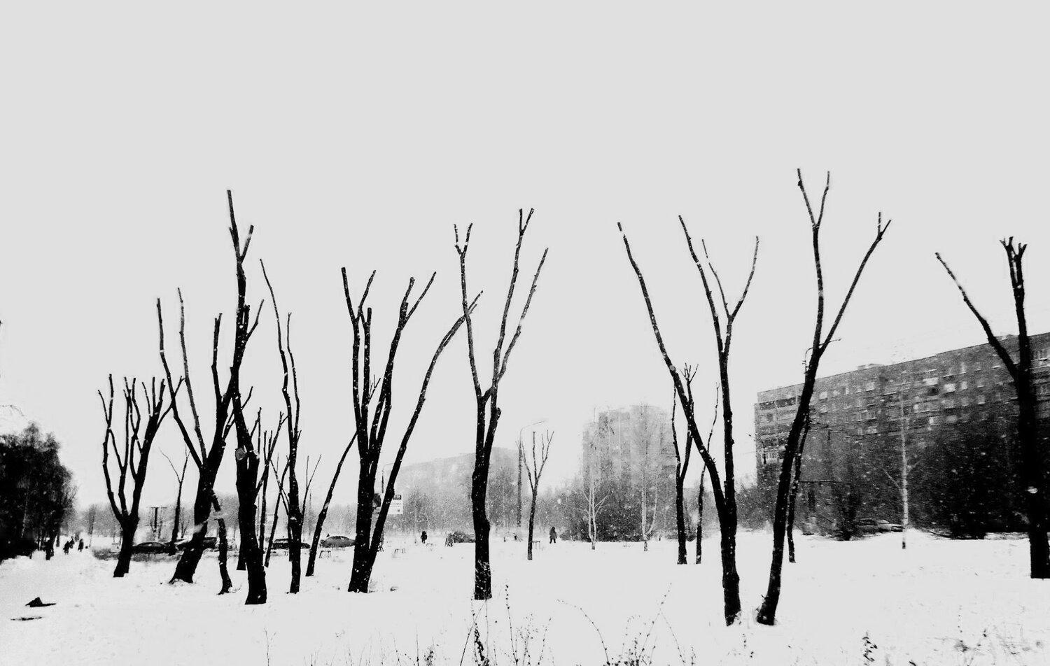 Photo #13848053