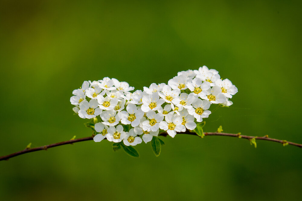 Photograph by Владимир Говоров