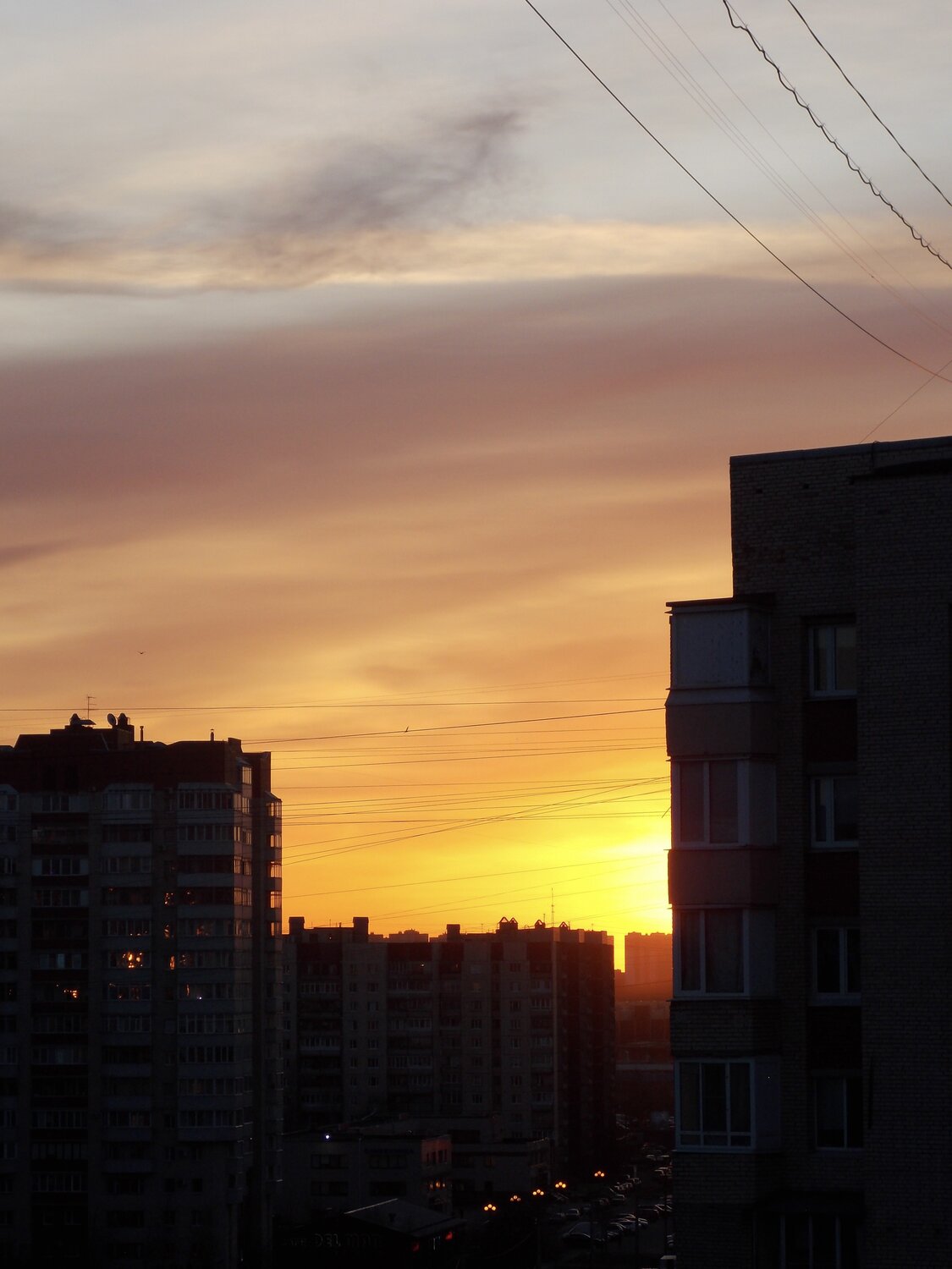 Photo #13848060
