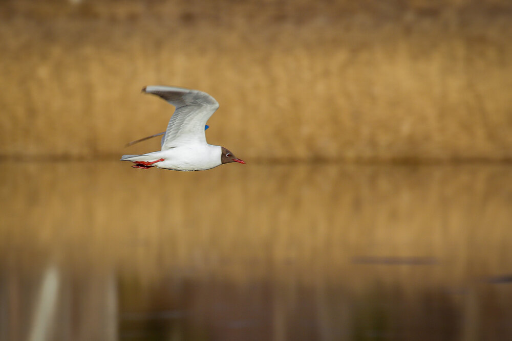 Photograph by Юрий Фефилов