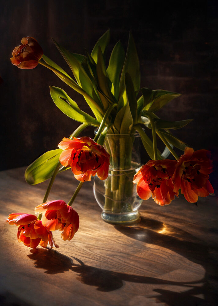 Photograph by Olga Schmidt