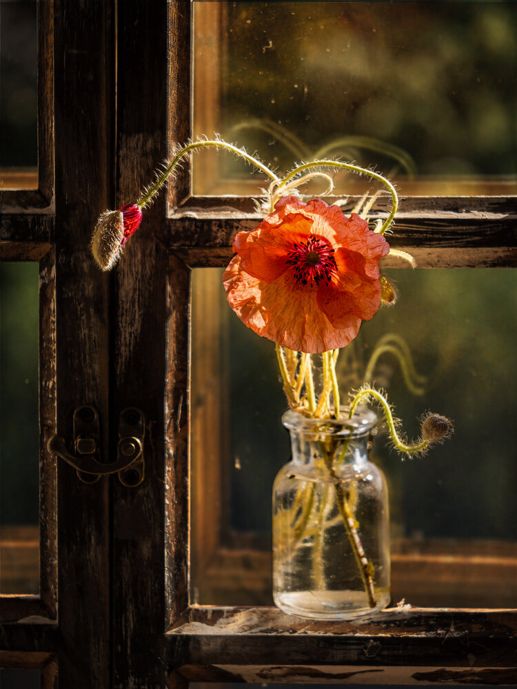 Photograph by Olga Schmidt