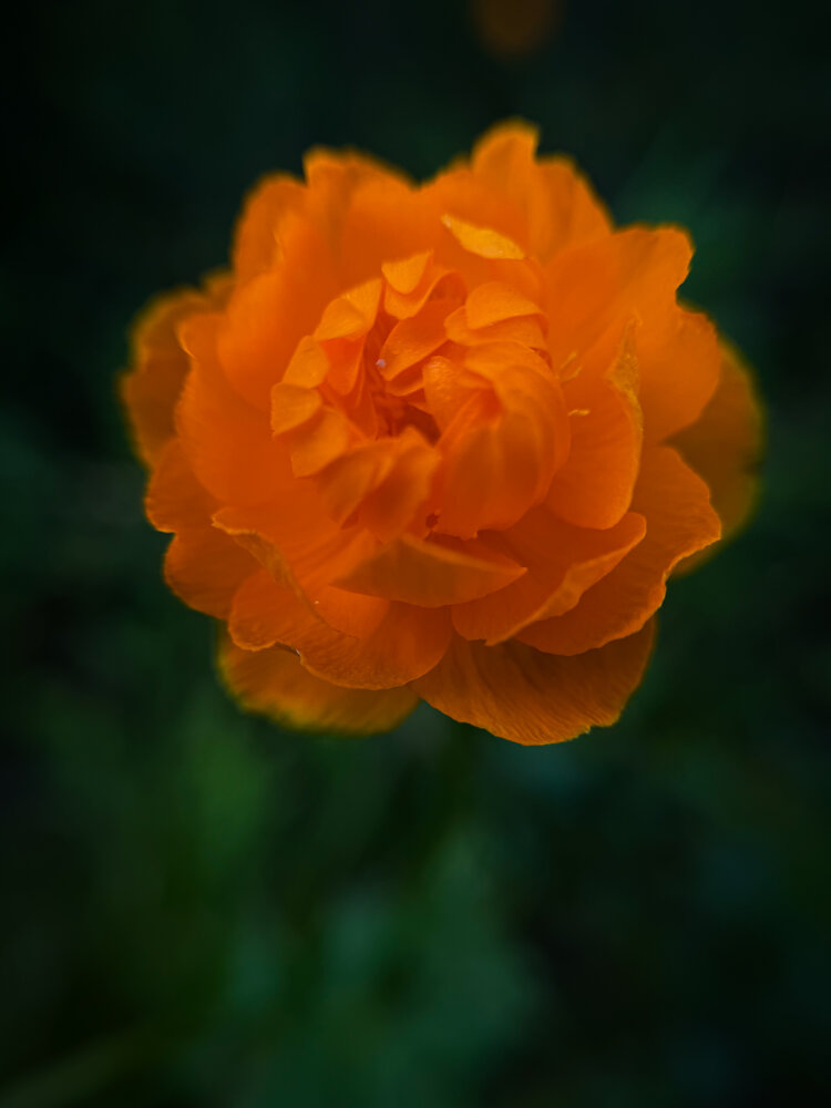 Photograph by Ярослава Васильева