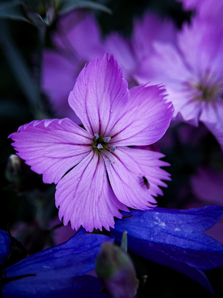 Photograph by Ярослава Васильева