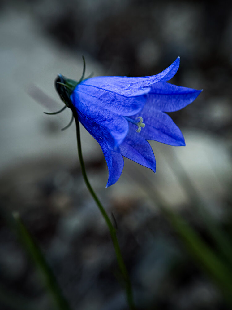 Photograph by Ярослава Васильева