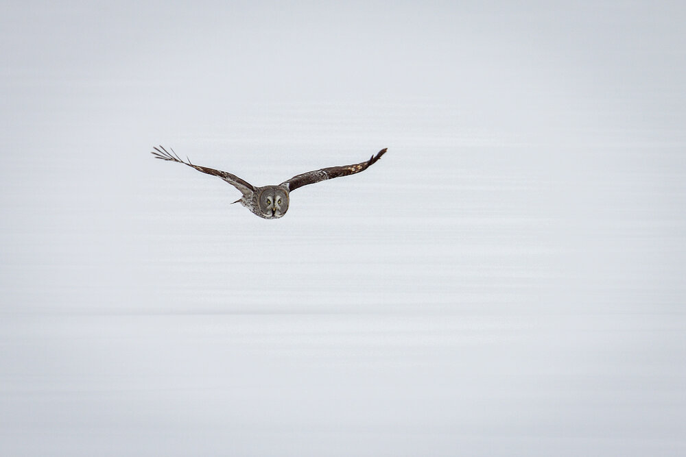 Photograph by Юрий Фефилов