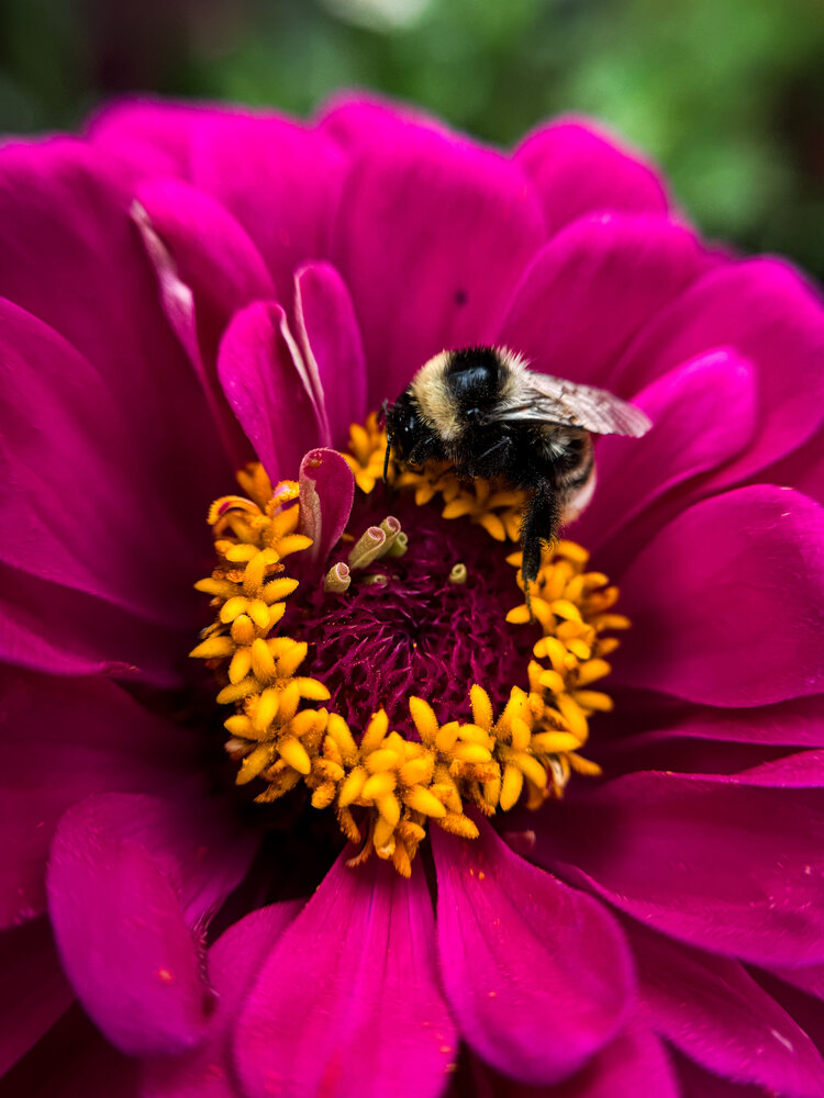 Photograph by Ярослава Васильева