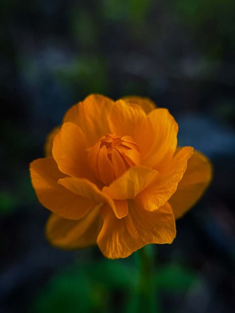 Photograph by Ярослава Васильева