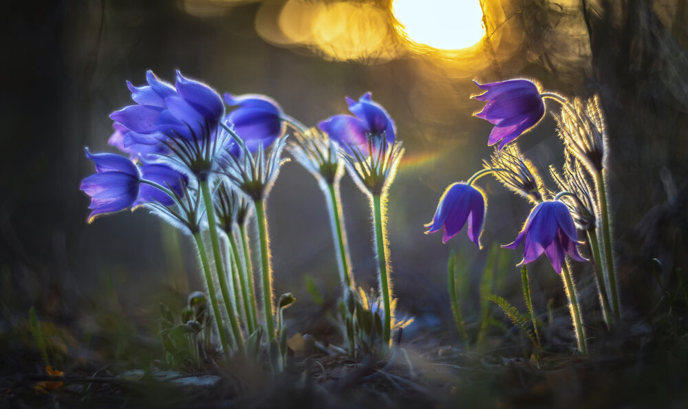Photograph by Чибиркин Александр