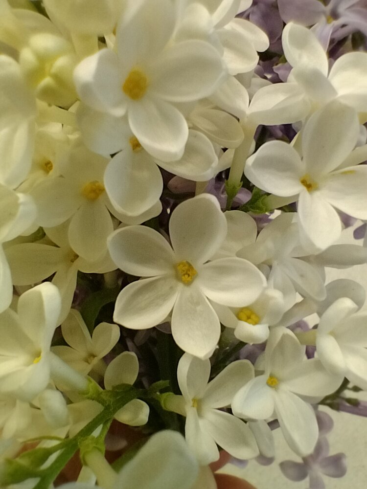 Photograph by Елена Азанова