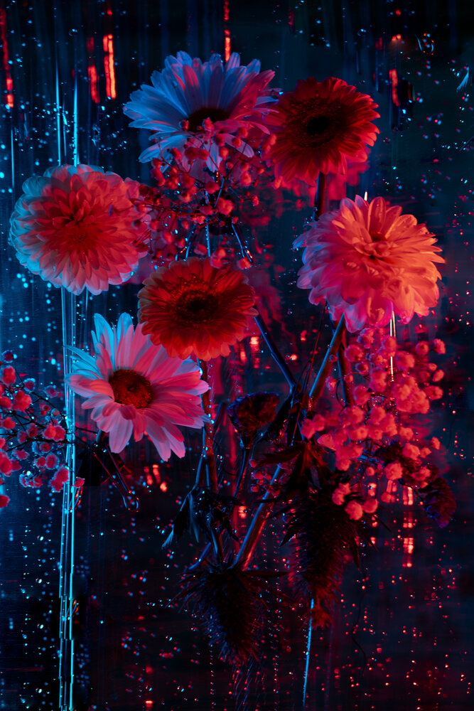 Photograph by Людмила Фоминых