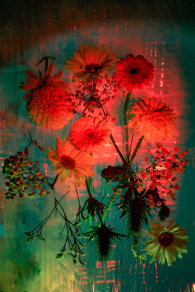 Photograph by Людмила Фоминых