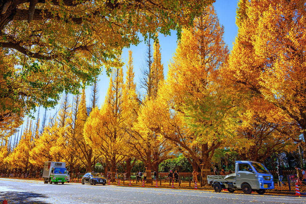 Photograph by CHANPANICHKIJJAKARN YUKONART